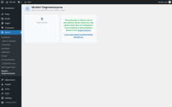 Page screenshot: Isarud &rarr; Musteri Segmentasyonu