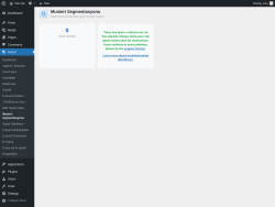 Page screenshot: Isarud &rarr; Musteri Segmentasyonu