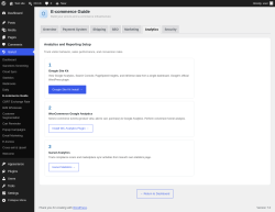 Page screenshot: Isarud &rarr; E-commerce Guide &rarr; Analytics