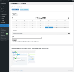 Page screenshot: Appointment Hour Booking &rarr; Styles Editor New