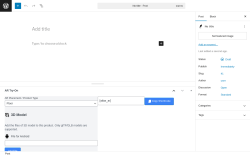 Page screenshot: Add Post ‹ Test site — WordPress