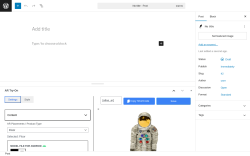 Page screenshot: Add Post ‹ Test site — WordPress