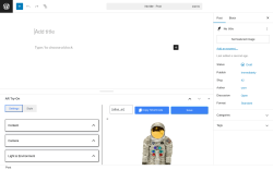 Page screenshot: Add Post ‹ Test site — WordPress
