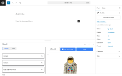 Page screenshot: Add Post ‹ Test site — WordPress