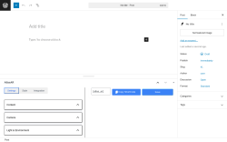 Page screenshot: Add Post ‹ Test site — WordPress