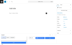 Page screenshot: Add Post &lsaquo; Test site &mdash; WordPress