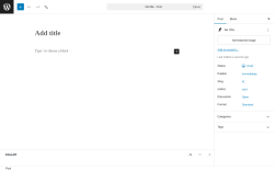 Page screenshot: Add Post &lsaquo; Test site &mdash; WordPress