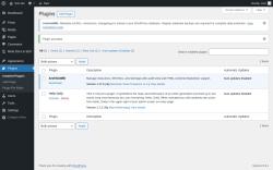 Page screenshot: Plugins &lsaquo; Test site &mdash; WordPress