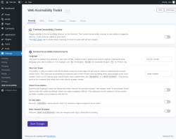 Page screenshot: Settings &rarr; Web Accessibility
