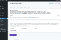 Page screenshot: Settings &rarr; Web Accessibility &rarr; ARIA