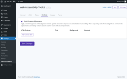 Page screenshot: Settings &rarr; Web Accessibility &rarr; Contrast
