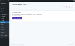 Page screenshot: Settings &rarr; Web Accessibility &rarr; Forms