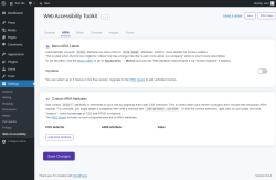 Page screenshot: Settings &rarr; Web Accessibility &rarr; ARIA