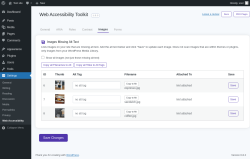 Page screenshot: Settings &rarr; Web Accessibility &rarr; Images