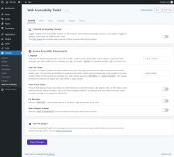 Page screenshot: Settings &rarr; Web Accessibility