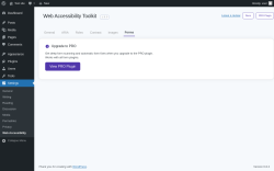 Page screenshot: Settings &rarr; Web Accessibility &rarr; Forms