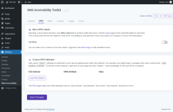Page screenshot: Settings &rarr; Web Accessibility &rarr; ARIA