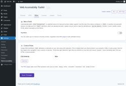 Page screenshot: Settings &rarr; Web Accessibility &rarr; Roles