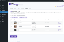Page screenshot: Web Accessibility &rarr; Images