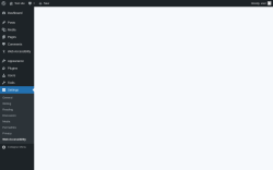 Page screenshot: Settings &rarr; Web Accessibility