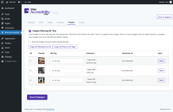 Page screenshot: Web Accessibility &rarr; Images