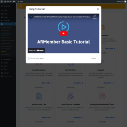 Page screenshot: ARMember Lite → Modules
