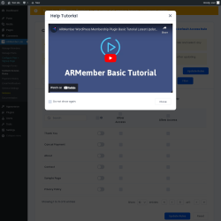 Page screenshot: ARMember Lite → Content Access Rules