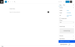 Page screenshot: Add New Page ‹ Test site — WordPress