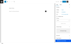 Page screenshot: Add New Page ‹ Test site — WordPress