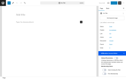 Page screenshot: Add New Page ‹ Test site — WordPress