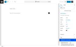 Page screenshot: Add New Post ‹ Test site — WordPress