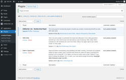 Page screenshot: Plugins ‹ Test site — WordPress