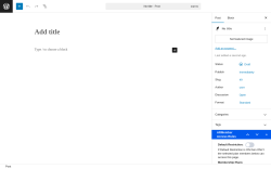 Page screenshot: Add Post ‹ Test site — WordPress