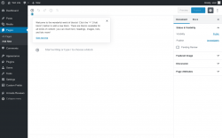 Page screenshot: Add New Page &lsaquo; Test site &mdash; WordPress