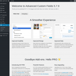 Page screenshot: Custom Fields &rarr; Info