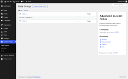 Page screenshot: Custom Fields