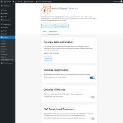 Page screenshot: Settings &rarr; Aruba HiSpeed Cache &rarr; Performance
