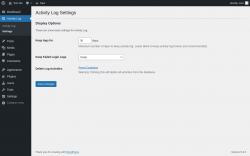 Page screenshot: Activity Log &rarr; Settings
