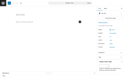 Page screenshot: Add Post ‹ Test site — WordPress