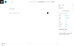 Page screenshot: Add Page ‹ Test site — WordPress