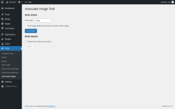 Page screenshot: Tools &rarr; Associate Image