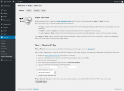 Page screenshot: Settings &rarr; Async JavaScript