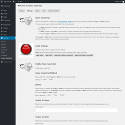 Page screenshot: Settings &rarr; Async JavaScript