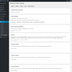 Page screenshot: Settings  &rarr; Async JavaScript