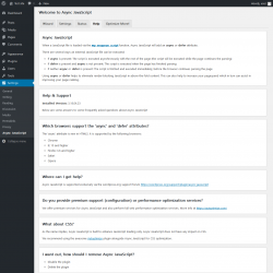 Page screenshot: Settings  &rarr; Async JavaScript &rarr; Help