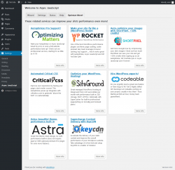 Page screenshot: Settings  &rarr; Async JavaScript &rarr; Optimize More!
