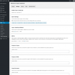 Page screenshot: Settings &rarr; Async JavaScript
