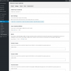 Page screenshot: Settings &rarr; Async JavaScript