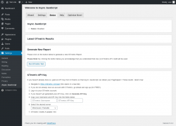 Page screenshot: Settings &rarr; Async JavaScript &rarr; Status