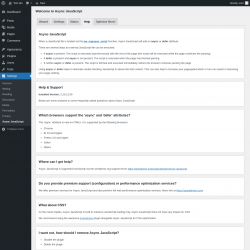 Page screenshot: Settings &rarr; Async JavaScript &rarr; Help